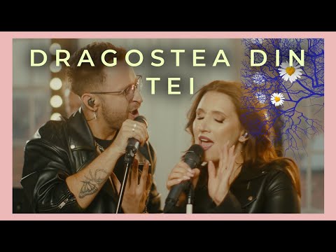 ❤️ Dragostea din tei | Cover by Nicoleta Oancea & Band | Trupa Cover | Trupa Nunta | Dansul Mirilor