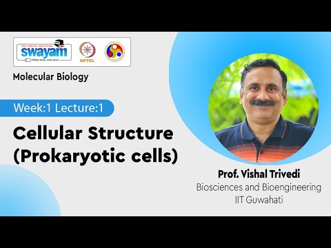 Molecular Biology Introduction Video