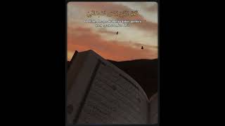 Download lagu story wa 30 detik sholawat mp3