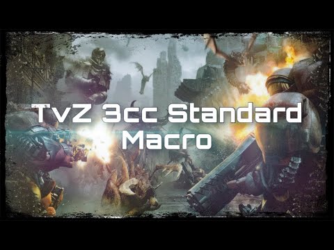 TvZ 3CC Standard Macro