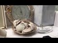 Negativland- “Quiet Please” (Homemade Music Video)