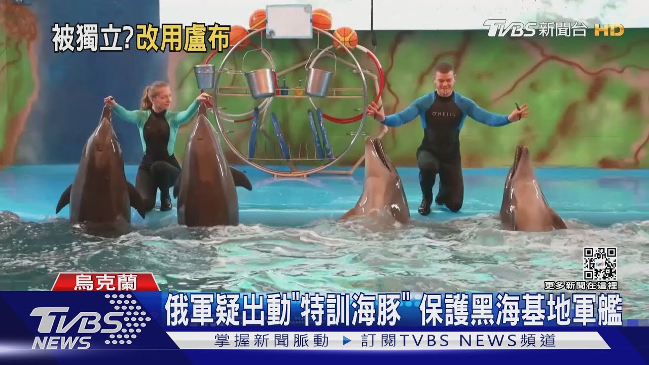 俄奪下赫爾松改用盧布 傳派海豚護黑海軍艦