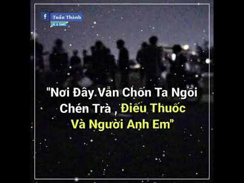 Luxy Hit - Track Hay