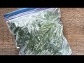 The easiest, fastest, best way to FREEZE BASIL!