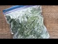 The Easiest Fastest Best Way To FREEZE BASIL