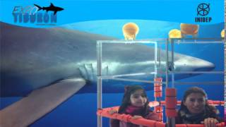 DIA 3 Expo Tiburon114