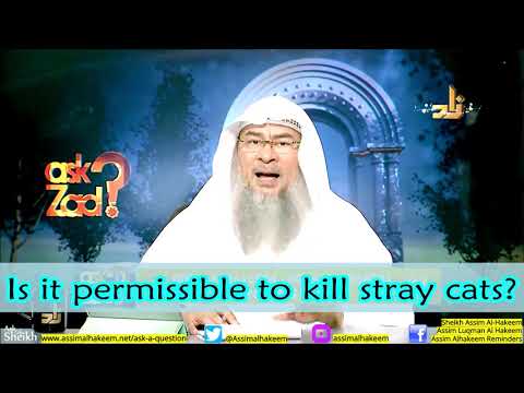 Is it permissible to kill stray cats outside my home?  | Sheikh Assim Al Hakeem