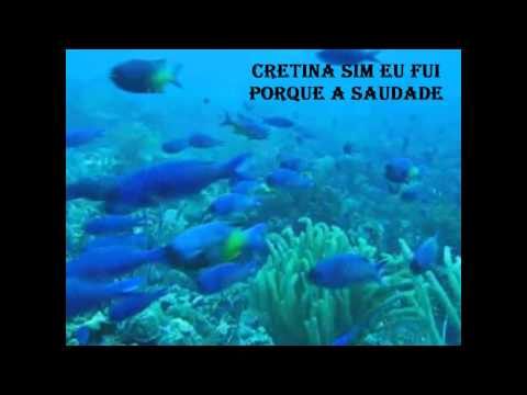 Brigada do Fado - Rute Figueiredo ( Julguei Endoidecer )