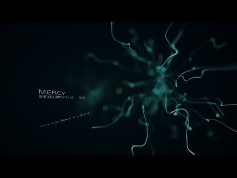WhoKilledMickey & LXA - Mercy