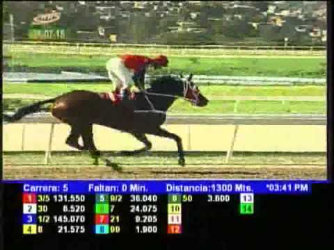 Resumen Sábado, 25 de Julio de 2015 - La Rinconada