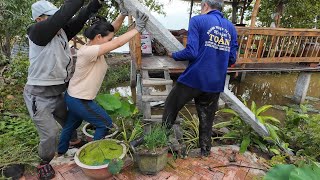 3 Father and Son Join Forces to Build a Passion Fruit Stone Pillar, Mom Is the Cameraman, Thien I...