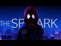 MARVEL Spider Verse The Spark 1 500K Sub Special