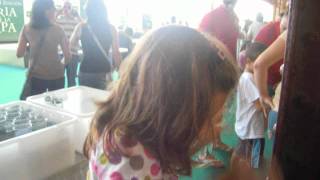 Feria de la tapa