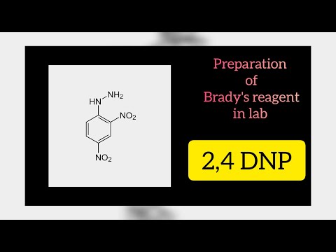 How to prepare Brady's reagent in lab?