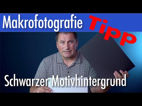 Makrofotografie - so richtig schwarzer Motivhintergrund