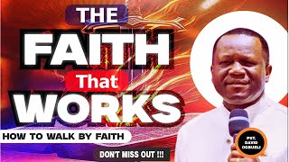 THE FAITH THAT WORKS | Dr David Ogbueli  #pastordavidogbueli #dominioncity #jesus #faith #video #fyp