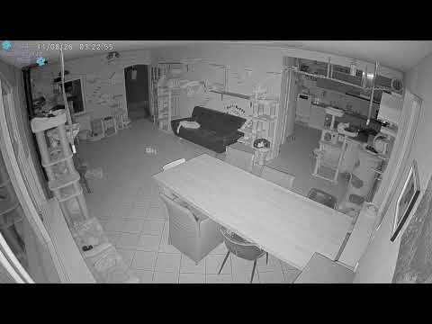 Přejít na video