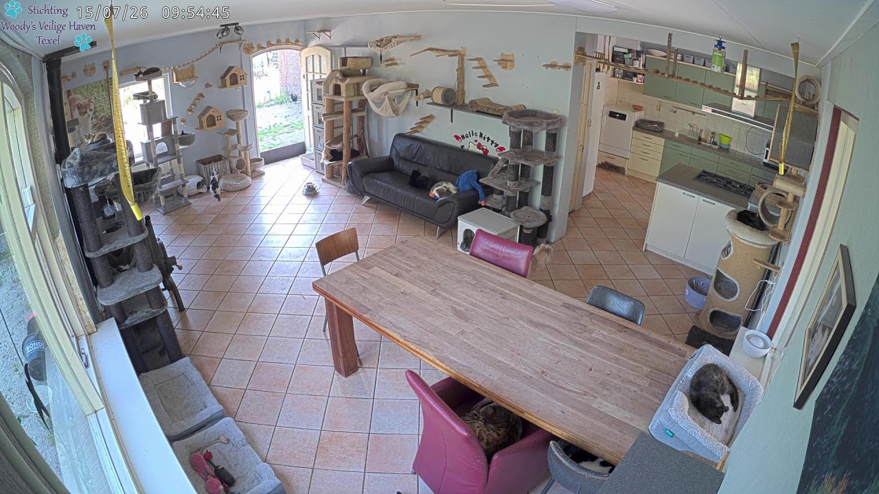Live webcam view of Woody's Cat Shelter Texel