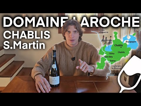 CHABLIS: il MIGLIOR CHARDONNAY al MONDO 🥂👀😍