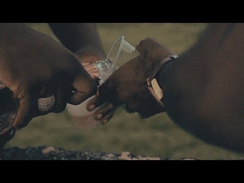 Chronic Law x Fya Doops - Good Times Bad Times (Director's Cut)