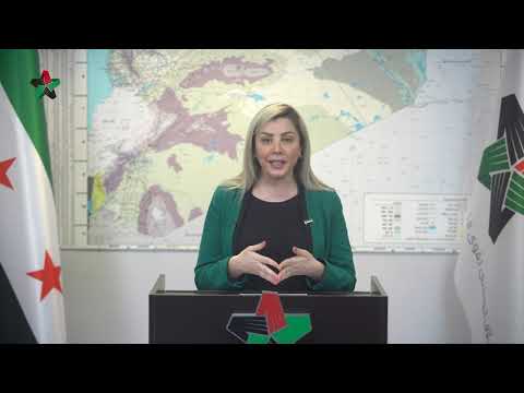 الإحاطة النصف شهرية لنائب رئيس الائتلاف ربا حبوش حول التطورات السياسية والميدانية