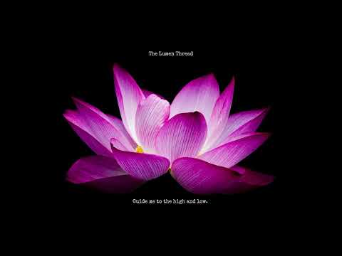 The Lumen Thread -  Let the Rhythm Take a Hold. (Official Video)