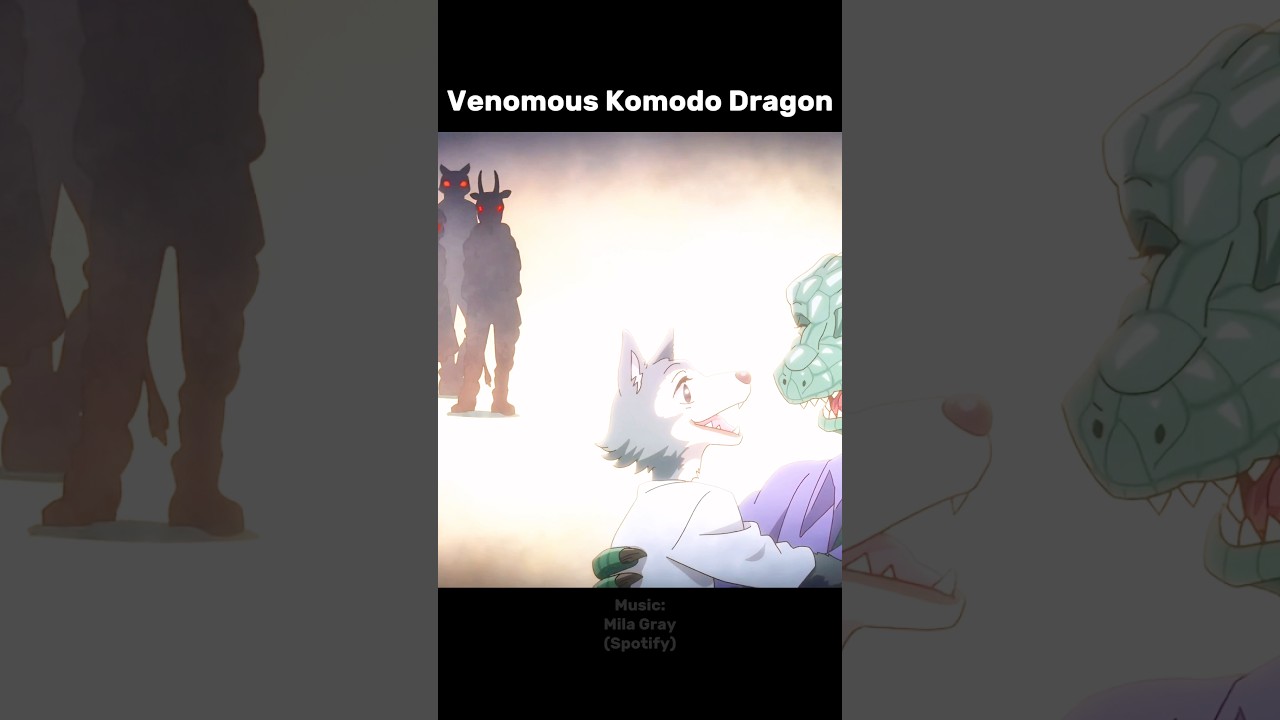 Legoshi and His Grandfather's Rule 🐺🐊 #anime #beastars