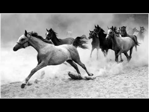 Michał Lorenc - Smierc Malwiny  (Oficer)