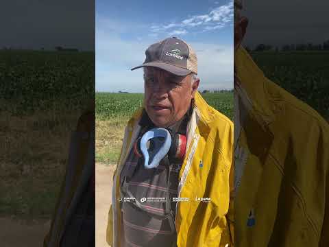 El Municipio realizó tareas de fumigación en distintos sectores de la ciudad