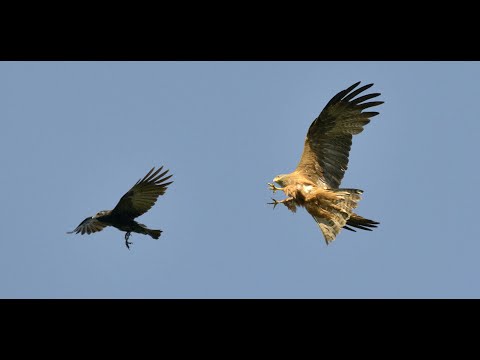 Konstanz Riedweg 12 06 2023