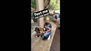 Text Chelsea Handler | 310-299-9955