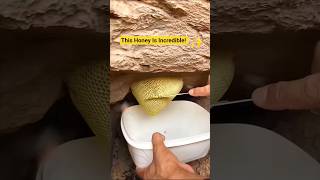قطرات من الذهب السائل عسل بوطويق #shorts