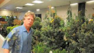 preview picture of video 'The Largest Indoor Plant Sale of OUTDOOR PLANTS in America'
