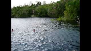 preview picture of video 'CENOTE AZUL  QUINTANA ROO  MEXICO'