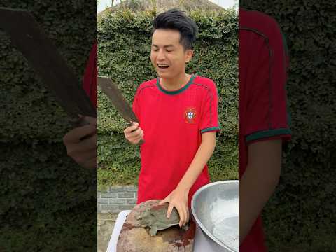 Messi rescues the turtle.