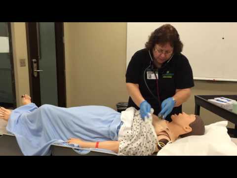 Basic Head to Toe Assessment Fundamentals of Nursing