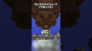 みんな、Hypixelサーバーのスカイウォーズっていうゲーム知ってる？