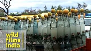 Banta bottles: lemonade memories from your childhood in India!