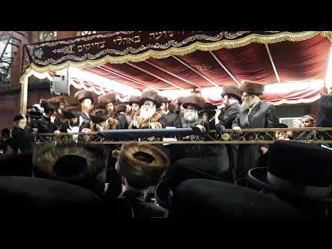 krechnif rebbe wedding of grand daughter