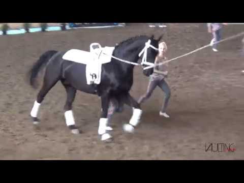 VV Ingelsberg Junior (GER), cvi Portogruaro 2018