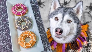 Spooky Spiderweb Donut Dog Treats 🕸️DIY Halloween Dog Treats