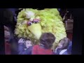 Sesame Street Moments Follow In My Footsteps
