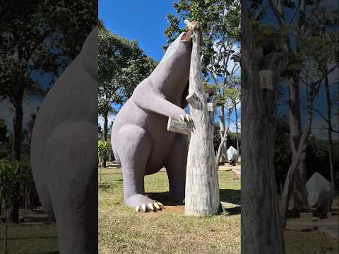 Zoológico de Pedra 🐘🦕🦡🦥 #zoologico #dandanemacao #minasgerais #prehistoric #cordisburgo #music