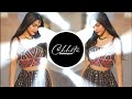 Chamiya Mera Dil Le Gayee Alka Yagnik Edm Bass Mix Hindi Dj Song 2025 Dj Chhotu Baldevgarh