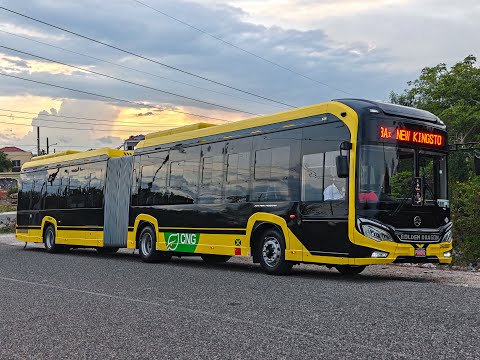 JUTC 2025 Golden Dragon Nav12 XML6185J18CN 25Q3203 on route 3Ax: New Kingston - Christian Gardens.