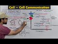 Cell signaling: Cell to cell communication / body coordination