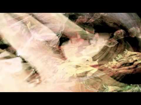 Video thumbnail for Who’s Dreaming Who