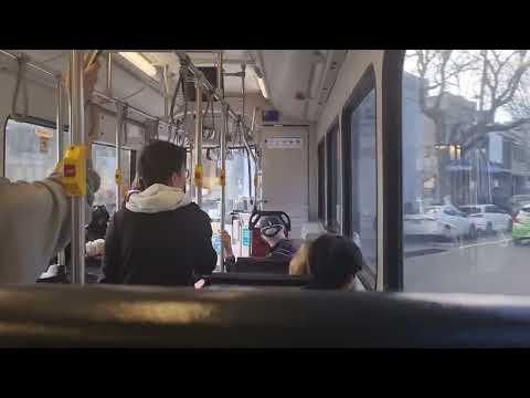 Transdev John Holland (Port Botany) 1995 ST • Mercedes Benz O500LE CNG