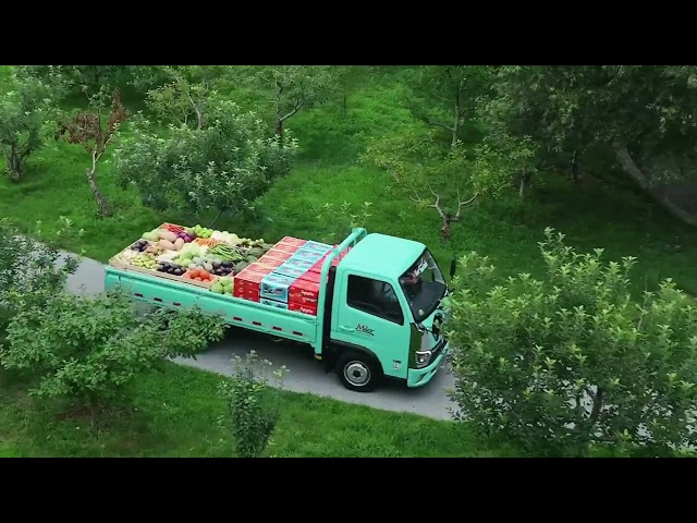 imagen-video-thelogisticsworld