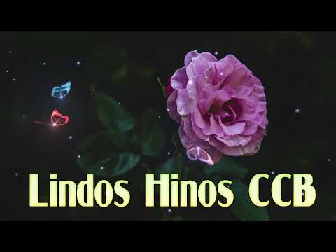 Hino 232,260,115,441🍂CCB Lindos Hinos Cantados 🍂 Congregação Cristã no Brasil